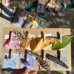 Natural Eco Paint - 8 Natural Colours